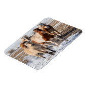 Herde gemischter Pferde, die im Schnee laufen Magnet (Linke Seite)