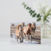 Herde gemischter Pferde, die im Schnee laufen Postkarte (Stehend Vorderseite)
