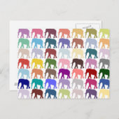 Herde Postkarte (Vorne/Hinten)