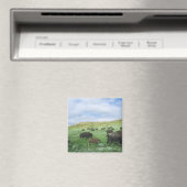Herde von Bisongras, Gras von Prärien am Theodore Magnet (In Situ (Geschirrspüler))