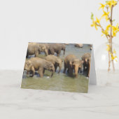 Herde von Elefanten Grußkarten Karte (Gelbe Blume)