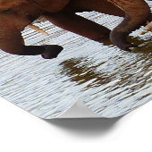 Herde von Elefanten in einem Wasserloch Poster (Ecke)