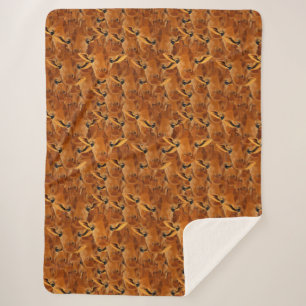 Herde von Giraffen Sherpadecke
