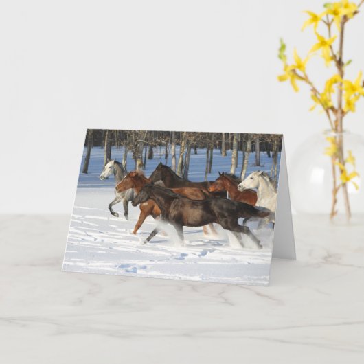 Herde von im Schnee laufenden Trakehner-Pferden Karte (Gelbe Blume)