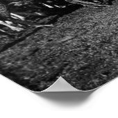 Herde von Reindeer in Alaska-Fotografie Poster (Ecke)