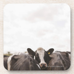 Herde von Vieh und von bewölktem Himmel 2 Untersetzer