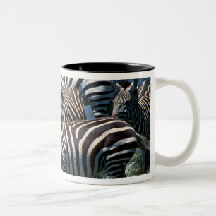 Herde von Zebras 2 Zweifarbige Tasse