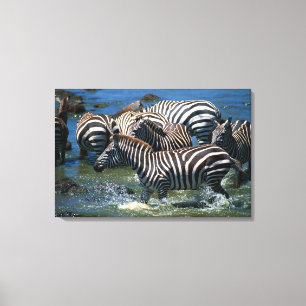 Herde von Zebras Leinwanddruck