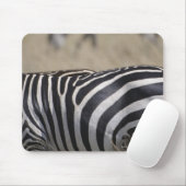 Herde von Zebras, Masai Mara Game Reserve, Mousepad (Mit Mouse)