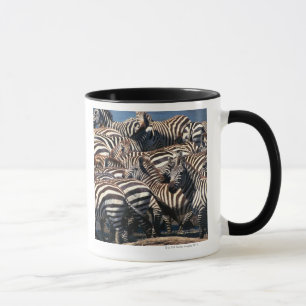 Herde von Zebras Tasse