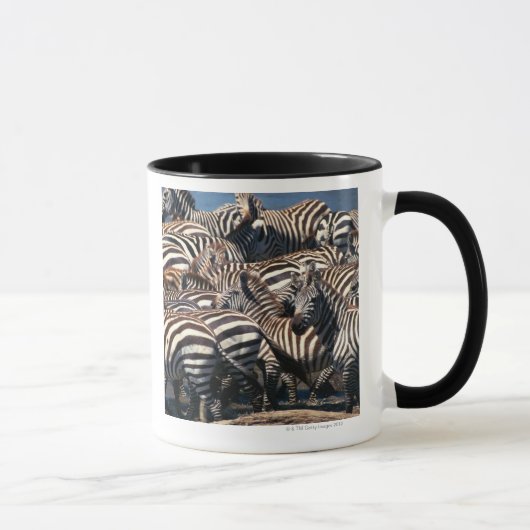 Herde von Zebras Tasse (Rechts)
