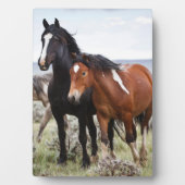Herde wild lebender Pferde Fotoplatte (Vorderseite)