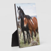 Herde wild lebender Pferde Fotoplatte (Seite)