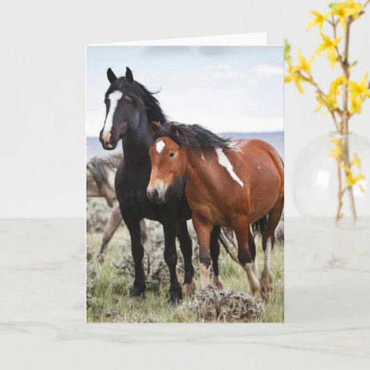 Herde wild lebender Pferde Karte (Gelbe Blume)