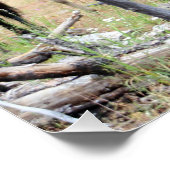 Herde wild lebender Pferde Poster (Ecke)