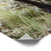 Herde wild lebender Pferde Poster (Ecke)