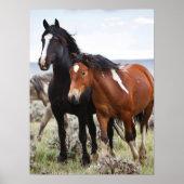 Herde wild lebender Pferde Poster (Vorne)