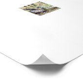 Herde wild lebender Pferde Poster (Ecke)