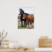 Herde wilder Pferde Poster (Küche)