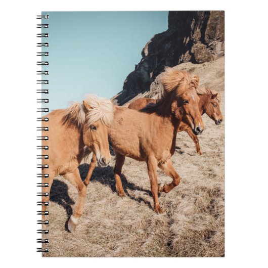 Herde wilder Ponies Notizblock (Vorderseite)