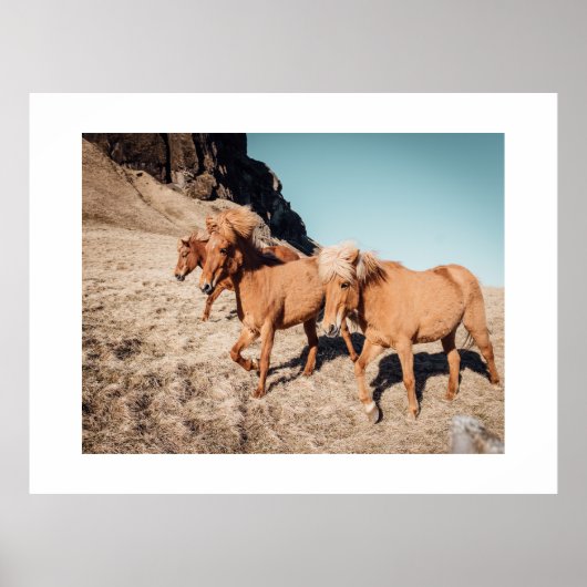 Herde wilder Ponies Poster (Vorne)
