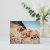 Herde wilder Ponies Postkarte (Stehend Vorderseite)