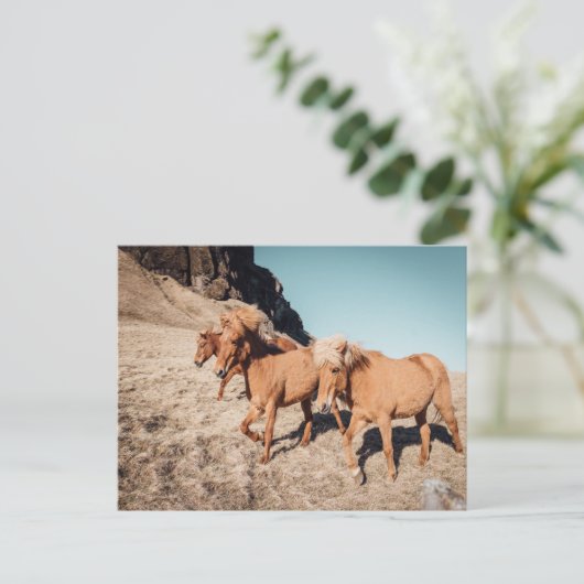 Herde wilder Ponies Postkarte (Stehend Vorderseite)