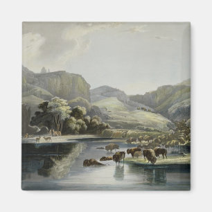 Herden des Bisons und der Elche auf dem Oberleder Magnet