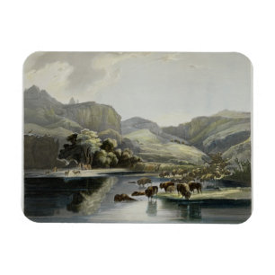 Herden von Bison und Elk im oberen Missouri, Plat Magnet