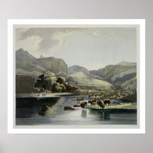 Herden von Bison und Elk im oberen Missouri, Plat Poster (Vorne)