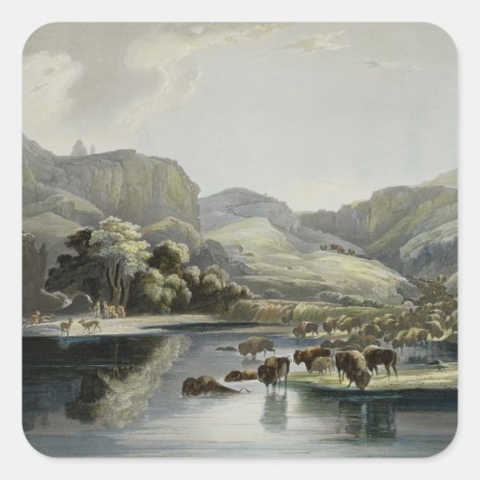 Herden von Bison und Elk im oberen Missouri, Plat Quadratischer Aufkleber (Vorderseite)
