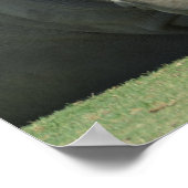 Herdenleiter Poster (Ecke)