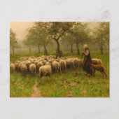 Herderin Met Kudde Schapen von Anton Mauve (c 1870 Postkarte (Vorderseite)
