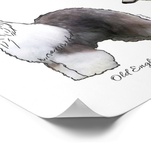 Herding Group Poster (Ecke)