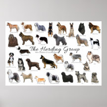 Herding Group Poster