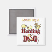 Herding Hund Eigentümer Geschenke Magnet (Vorderseite/Rückseite)