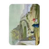 Herding Rentier, Lappland, Platte 47 von 'Le Costu Magnet (Vertikal)