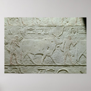 Herdsman führt einen Stier Poster