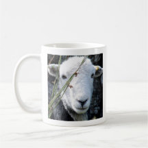 Herdwick ewe Tasse