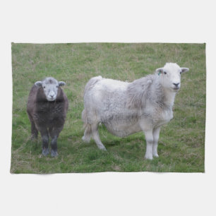 Herdwick Mutterschaf-und Lamm-Tee-Tuch Küchentuch