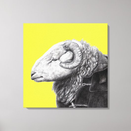 Herdwick Ram in Duffel Coat (Retro Yellow) Leinwanddruck (Vorderseite)
