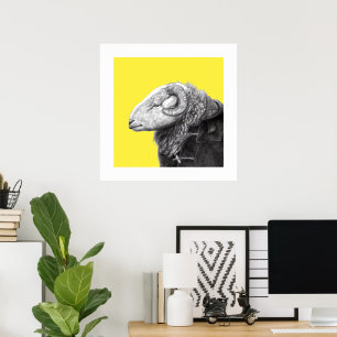 Herdwick Ram in Duffel Coat (Retro Yellow) Poster
