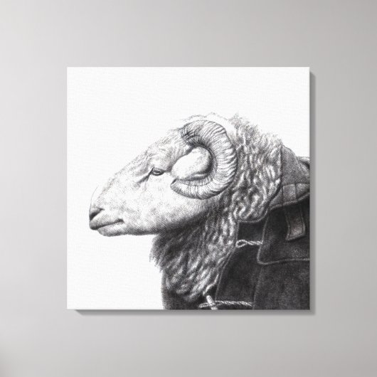 Herdwick Ram in Duffel Coat (Schnee) Leinwanddruck (Vorderseite)