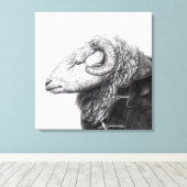 Herdwick Ram in Duffel Coat (Schnee) Leinwanddruck (Insitu (Holzboden))