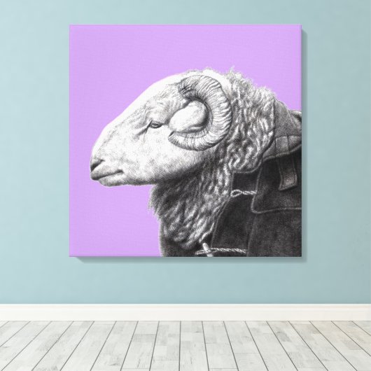 Herdwick Ram in Duffel Coat (Sumire) Leinwanddruck (Insitu (Holzboden))