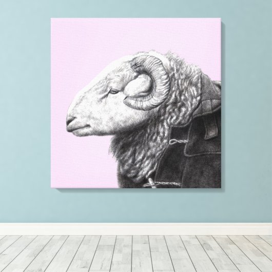 Herdwick Ram in Duffel Coat (Ume) Leinwanddruck (Insitu (Holzboden))