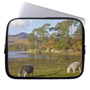 Herdwick-Schafe bei Friars Crag, Derwentwater, 2 Laptopschutzhülle