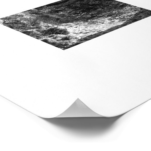 Herdwick Sheep, Cumbria Poster (Ecke)