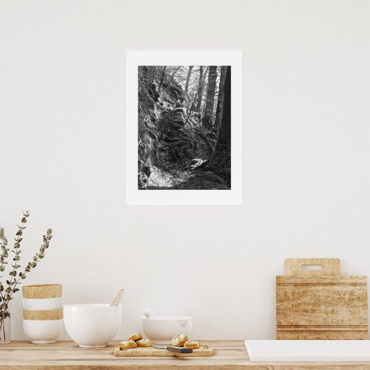 Herdwick Sheep, Cumbria Poster (Küche)