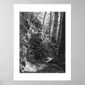 Herdwick Sheep, Cumbria Poster (Vorne)